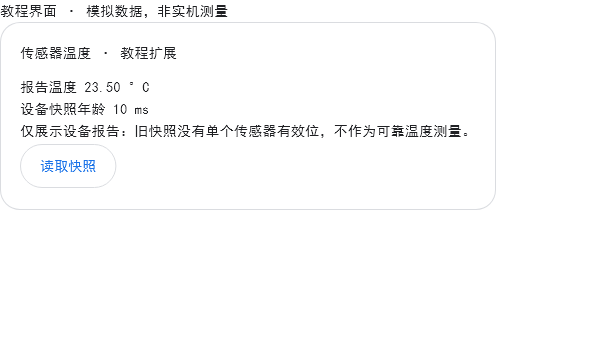 新卡片的实际Flutter测试渲染，明确标注模拟数据